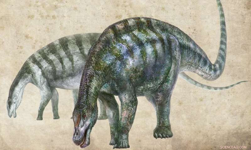 Earliest Eastern Asian Diplodocoid Fossil Unveiled—Rewriting Sauropod History in China
