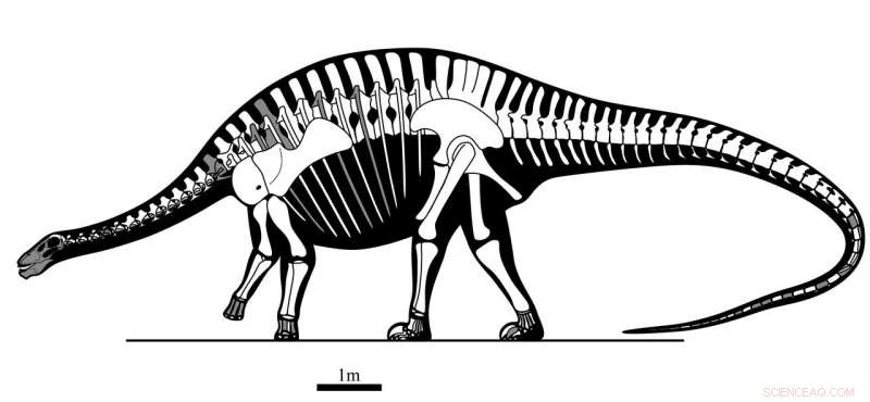 Earliest Eastern Asian Diplodocoid Fossil Unveiled—Rewriting Sauropod History in China