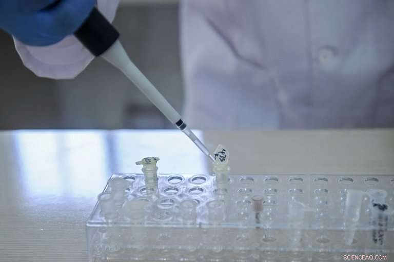 Canada Uses Genealogical Sites to Trace Migrants, Raising Privacy Concerns