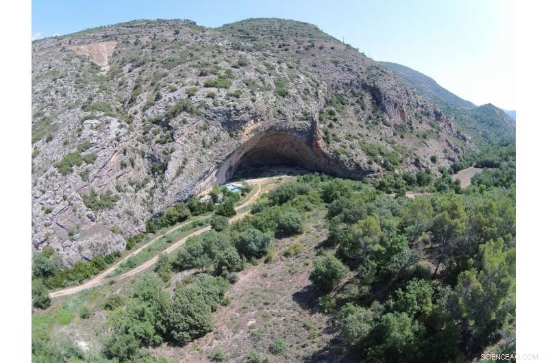 Montane Pine Forests Expanded to Iberia’s Northeast 50,000 Years Ago: New Paleobotanical Evidence