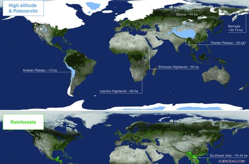 Homo sapiens: Defining a Unique Ecological Niche that Distinguishes It from Other Hominins