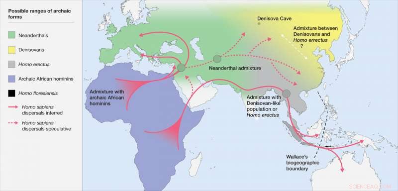 Homo sapiens: Defining a Unique Ecological Niche that Distinguishes It from Other Hominins