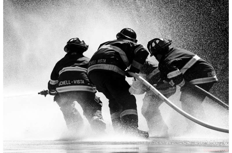 New Study Reveals How Firefighters and High‑Risk Professionals Make Critical Trust Decisions