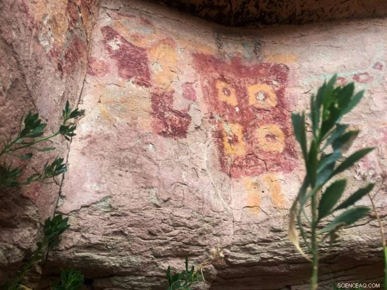 Chile’s Atacama Desert: Llama Rock Art Reveals Ancient Cultural Secrets