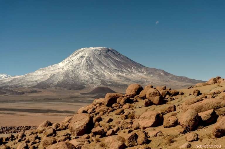 Chile’s Atacama Desert: Llama Rock Art Reveals Ancient Cultural Secrets