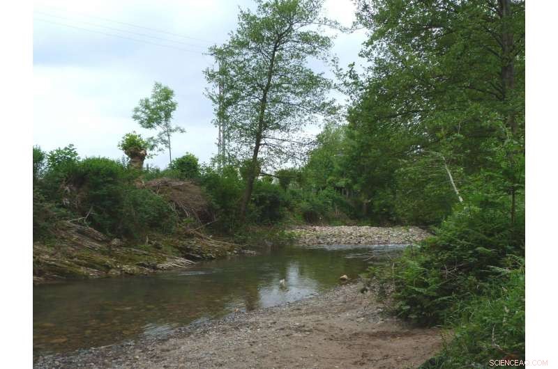 Pioneering Direct Dating of Cantabrian River Valleys Reveals 400,000-Year Evolution