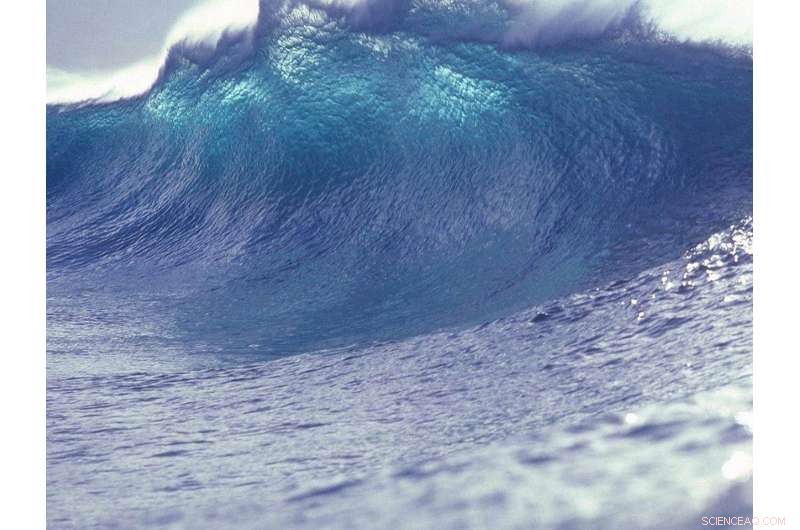 New Study Links Ancient Mass Graves to Tsunamis Across the Pacific, Mediterranean, and Scotland