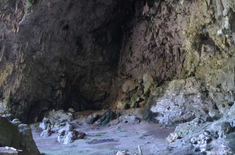 Modern Flores Island Pygmies Share No Genetic Ties with Extinct Homo Floresiensis