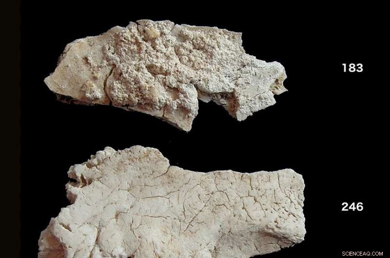 New Research Reveals Who Buried Stonehenge