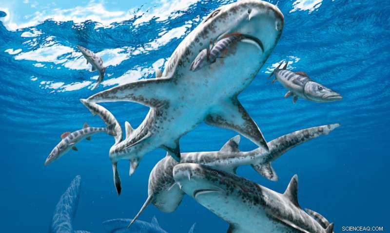 End-Cretaceous Extinction Sparked the Rise of Modern Shark Diversity