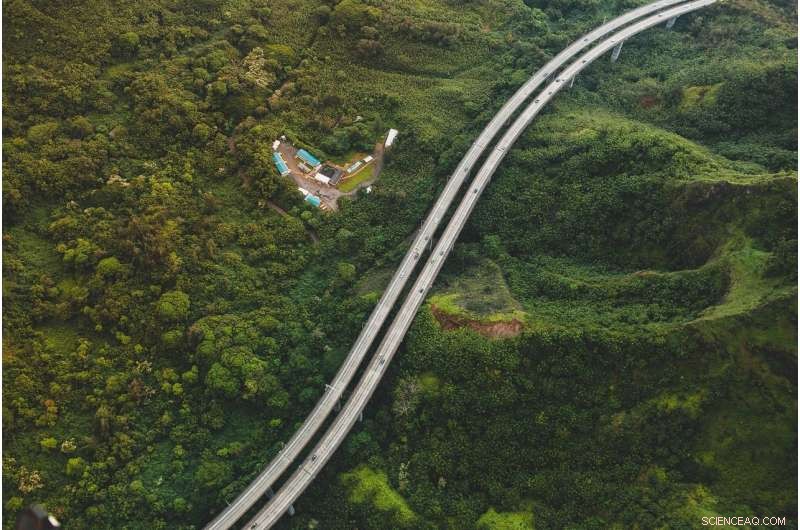 Revealing Hidden Crimes: How LIDAR Locates Unmarked Murder Victim Graves