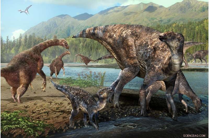 New Fossil Tracks in Alaska Suggest the State Was a Dinosaur Highway