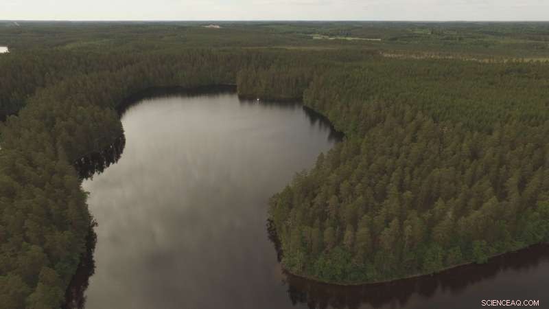 Submerged Stone Age Settlement Discovered in Southeast Finland, Revealing New Archaeological Insights