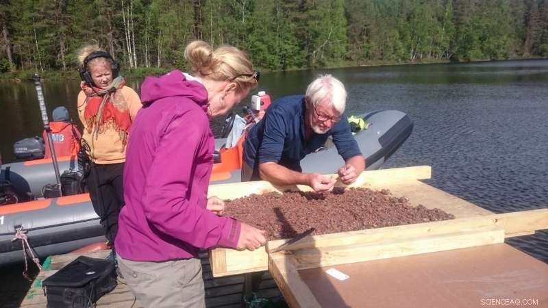 Submerged Stone Age Settlement Discovered in Southeast Finland, Revealing New Archaeological Insights