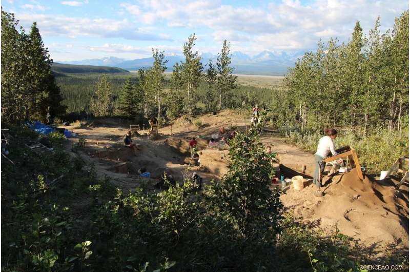 New Study Confirms Interior and Coastal Routes Shaped Early Human Migration to North America