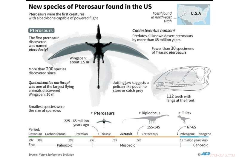 200-Million-Year-Old Pterosaur Unearthed: Insights into Early Powered Flight