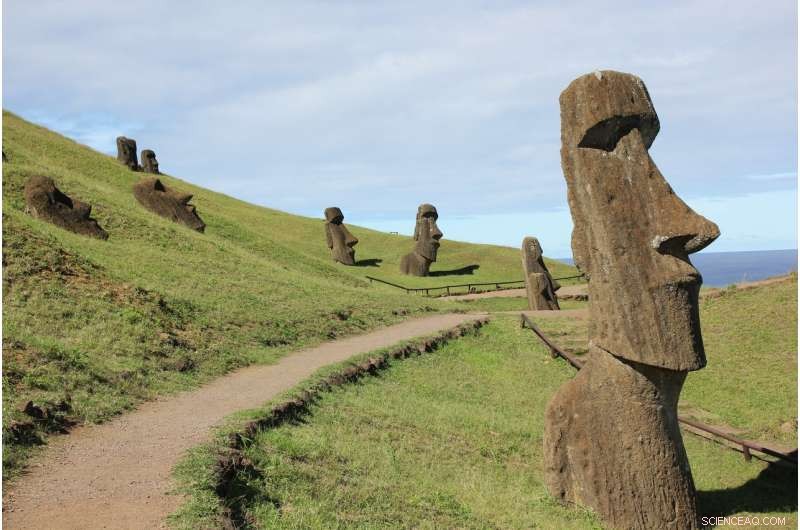 Rethinking Easter Island: Evidence That Society May Have Survived Collapse