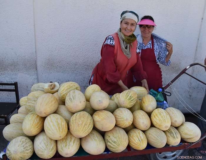 Tracing Eurasian Fruit Origins Along the Ancient Silk Road