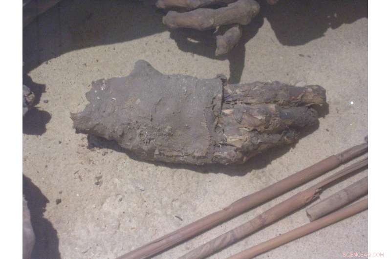 Prehistoric Mummy Uncovers Millennia-Old Egyptian Embalming Techniques