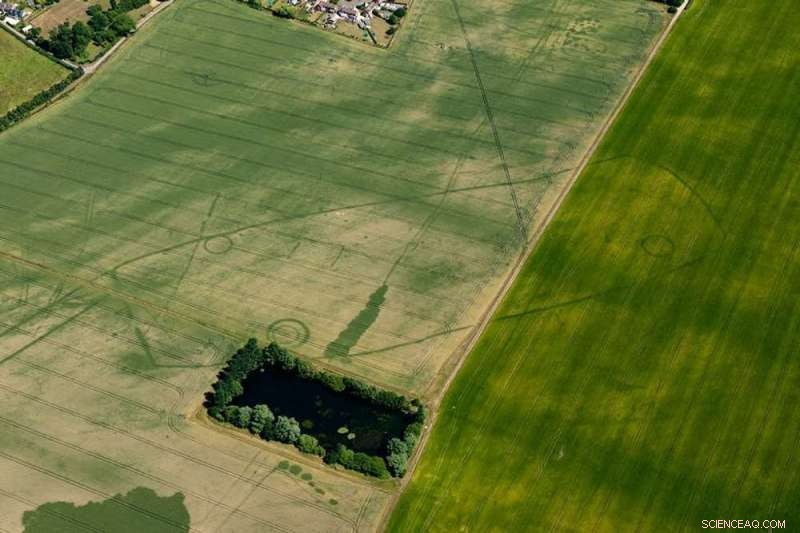 Aerial Survey Uncovers Ancient Iron Age Farmstead in Yorkshire Wolds