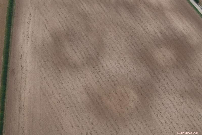 Aerial Survey Uncovers Ancient Iron Age Farmstead in Yorkshire Wolds