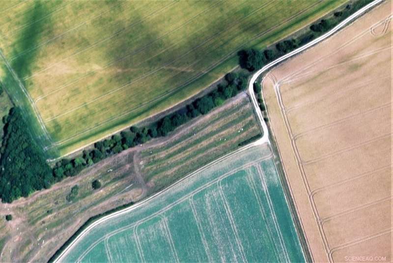 Aerial Survey Uncovers Ancient Iron Age Farmstead in Yorkshire Wolds