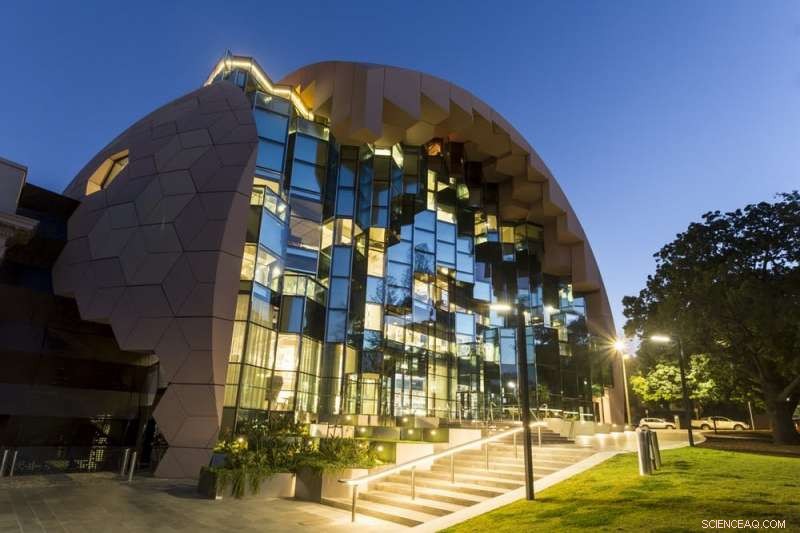 Technology Hasn t Killed Public Libraries—It Has Driven Their Transformation and Continued Relevance