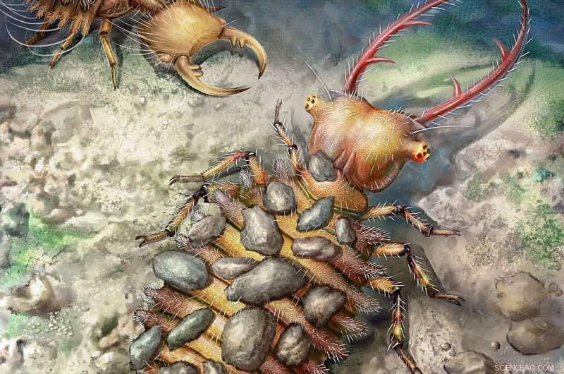 New Amber Fossils Reveal Evolutionary History of Ancient Antlions