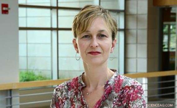 Why the Glass Ceiling Persists: 3 Reasons It Hurts the Economy