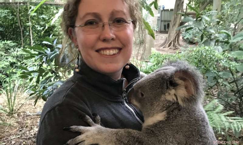Discover Ancient Koala Diets Through Modern Teeth Analysis