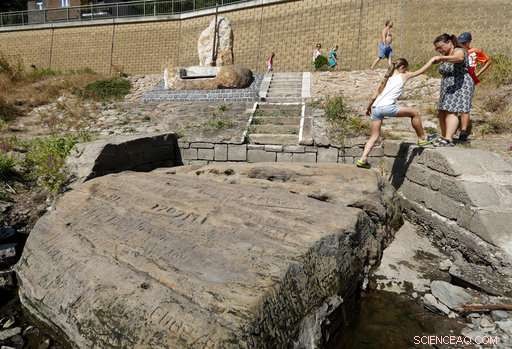Drought Uncovers Historic Hunger Stones Along the Elbe River