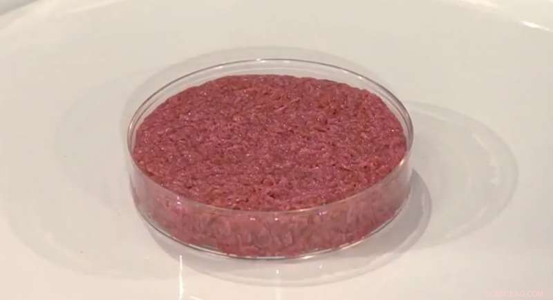 Are Consumers Ready for Lab‑Grown Meat? Exploring Acceptance and Challenges