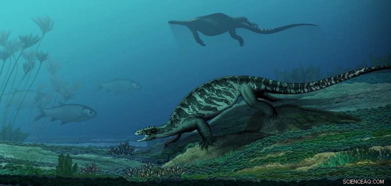 Ancient Turtle Reveals Early Beak Evolution Before Shell Development