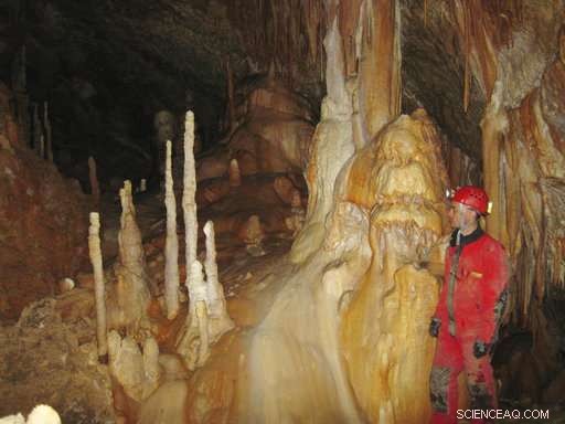 Cold, Dry Climate Shifts Triggered Neanderthal Decline