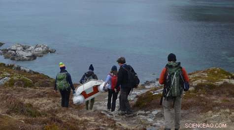 Uncovering Viking Adaptations to Climate Change: A Multidisciplinary Investigation