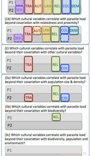 Unraveling the Links Between Cultural Traits and Key Variables: A Robust Analysis