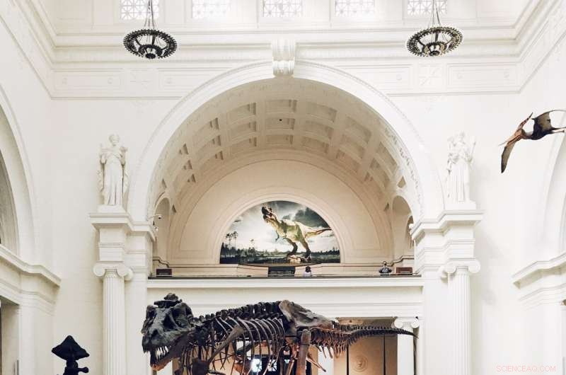 Boosting Public Interest in Science: Curiosity Beats Facts in Securing Funding