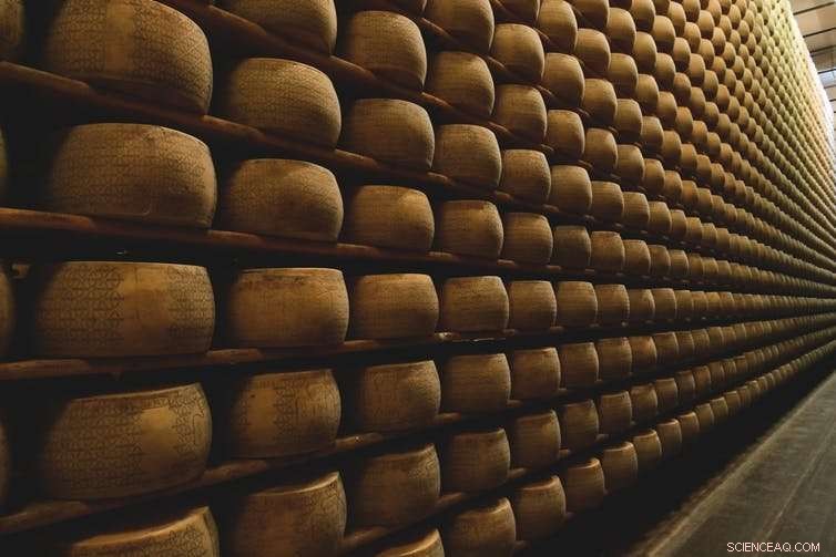 How Cheese Shaped Human Evolution: The Ancient Egyptian Discovery