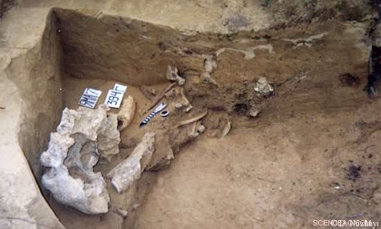 Woolly Mammoths Altered Their Diet Before Extinction, Study Shows