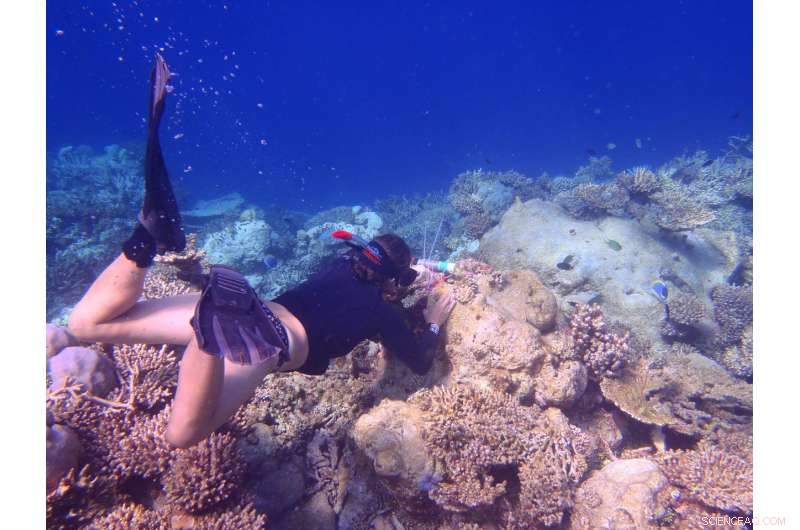 Study Reveals Seven Success Steps and Key Barriers Facing Women in STEM