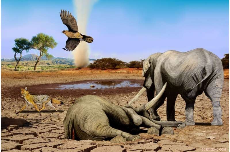 Reconstructing Ancient Elephant-Like Mammals Through Multiproxy Analysis