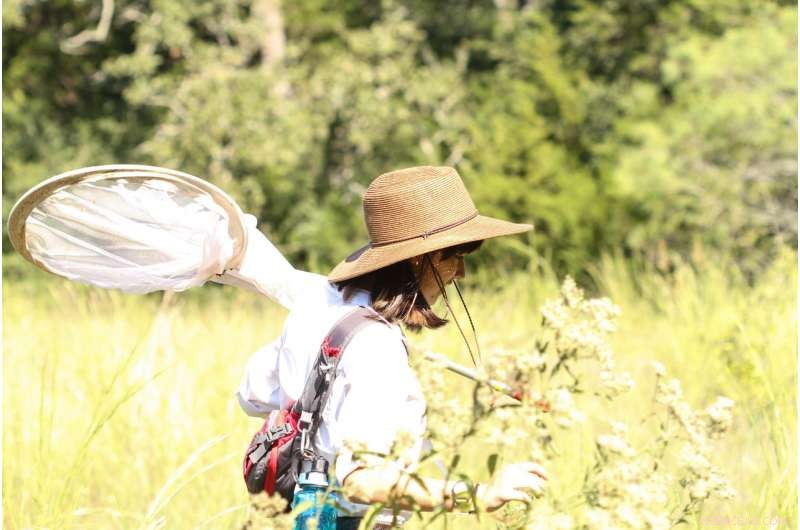 Gender Disparity Persists in Entomology Careers Despite Rising Female Degree Holders