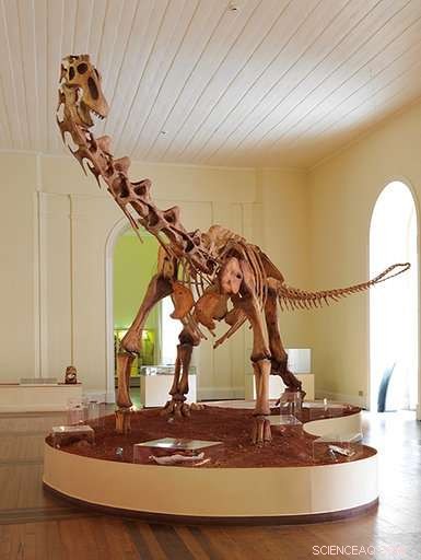 Rio s National Museum Fire Devastates 200-Year-Old Collection of Global Relics