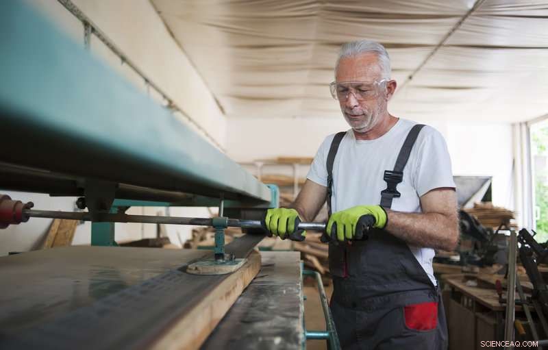 Beyond the Official Retirement Age: What Shapes Your Work Lifespan