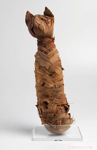 National Museum Safeguards Centuries-Old Torah Amid Rio Fire