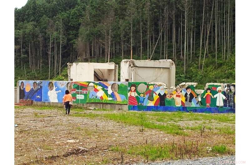 Impact of the 2011 Disaster on Rural Japan’s Marriage Migration