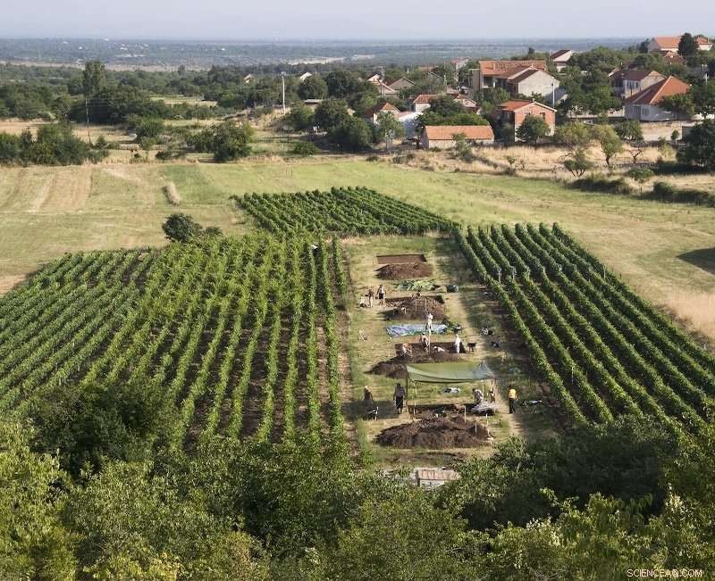 7,200-Year-Old Cheese-Making Evidence Uncovered on Dalmatian Coast
