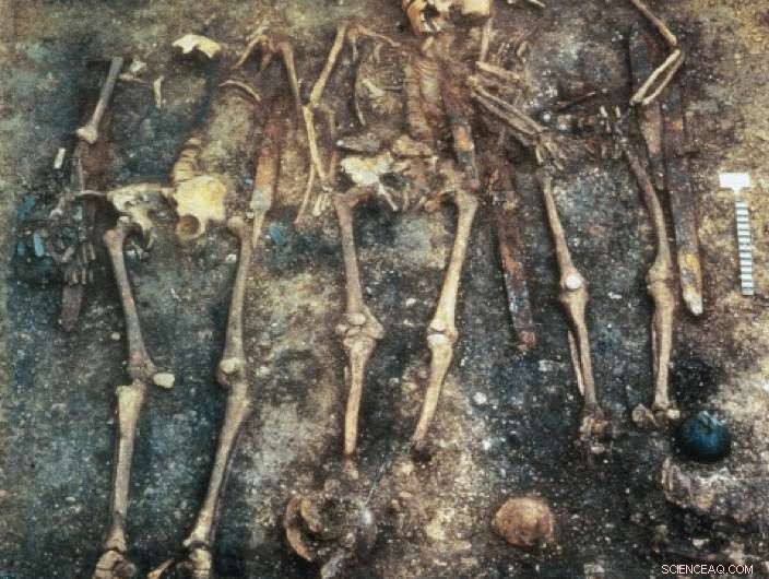 New DNA Study Reveals Lives of Early Medieval Alemannic Warriors and Their Supporters