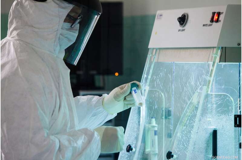 New DNA Study Reveals Lives of Early Medieval Alemannic Warriors and Their Supporters