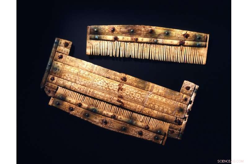 New DNA Study Reveals Lives of Early Medieval Alemannic Warriors and Their Supporters